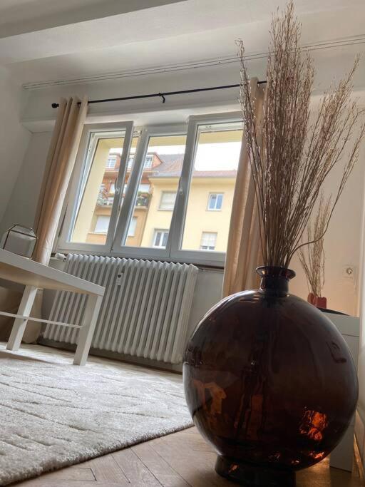 Appartement Charismatique Orangerie-10min Parlement Eu-wifi-tv